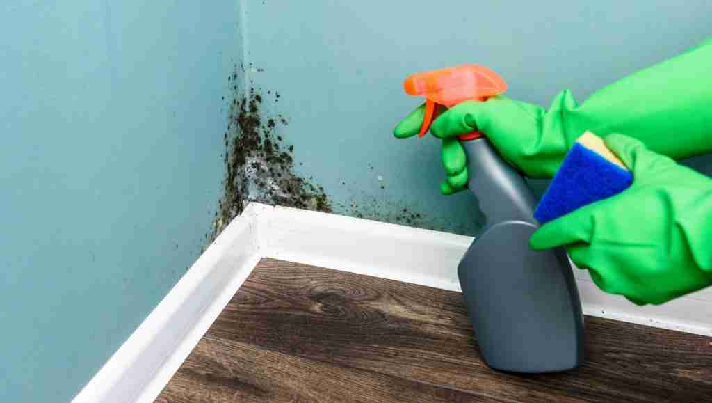 Natural Methods to Permanently Remove Mould