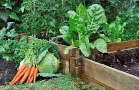 Have Fun In The Garden With These Tips