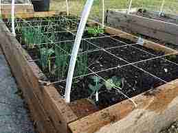 Gardening Is Much Simpler With These Tips