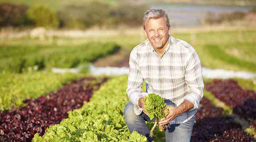 Want To Become A Pro At Gardening? Read On