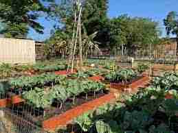 Need Advice On Organic Gardening? Read On