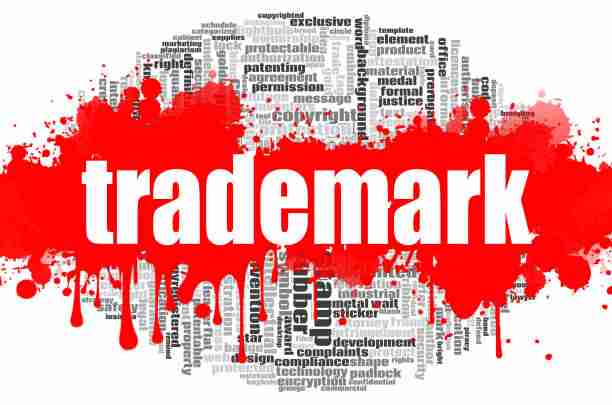 Unlocking the Power of Trademark Registration Services: Safeguarding Your Intellectual Property