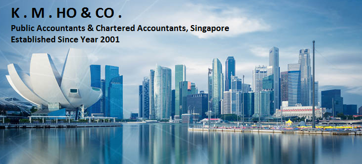 The Role Of Singapore’s Public Accounting Firms In Promoting Financial Stability And Expansion