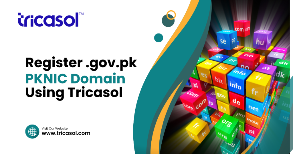 A Step-by-Step Instruction on how to register a .gov.pk Domain Name using Tricasol