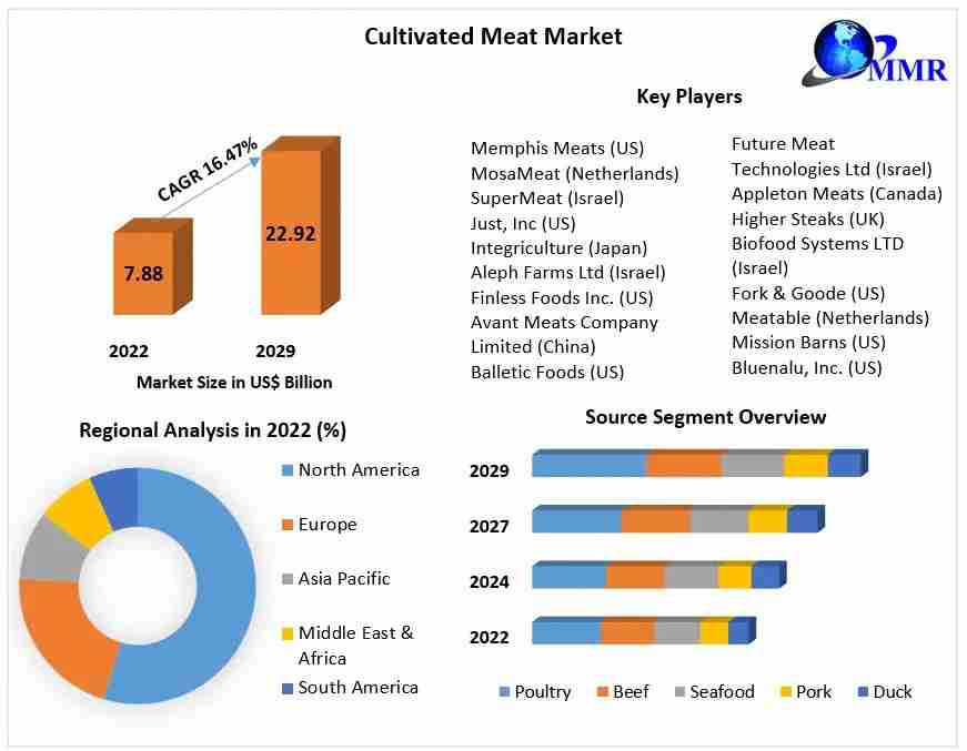 Cultivated Meat Market Analysis by Size, Opportunities, Regional Trends and Outlook 2029