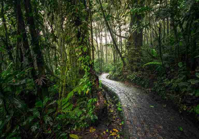 10 Reasons Why You Should Visit Arenal Volcano National Park