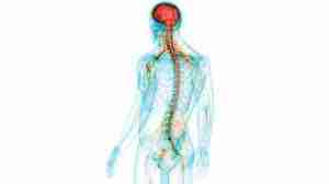 Understanding Neuropathic Pain: Causes and Treatments