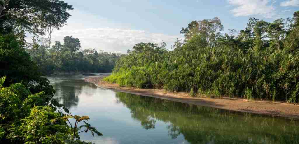Unveil the Mysteries of the Amazon with Amazon Trips Peru