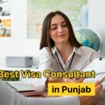 Your Guide to Finding the Best Visa Consultant in Punjab