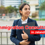 Finding the Best Immigration Consultant in Jalandhar