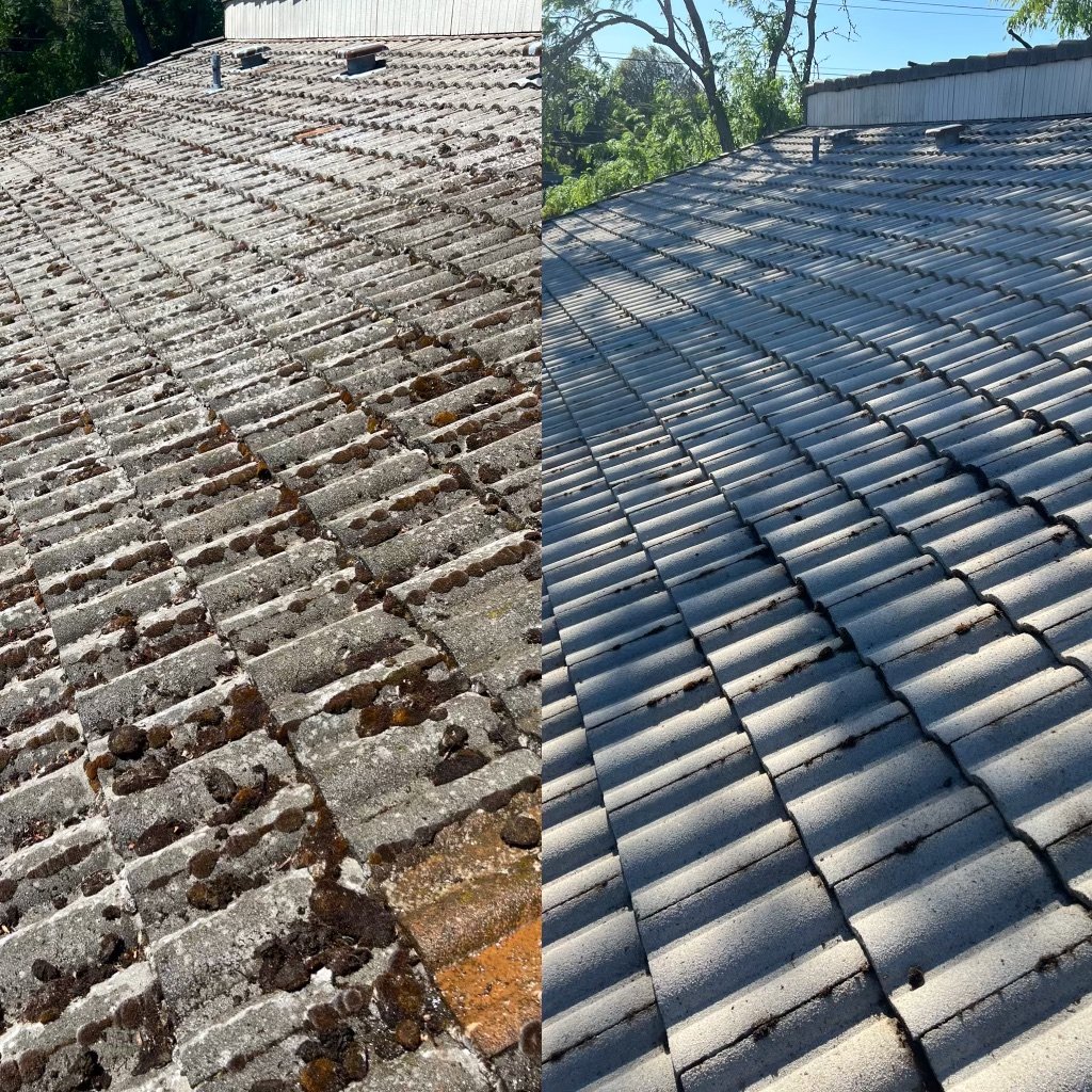 Top 5 Roof Cleaning Myths Busted: What You Need to Know!