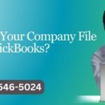How to Set Up Your Company File in QuickBooks?