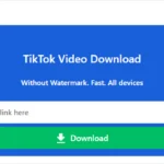 SnapTik – TikTok Video Downloader – TikTok Videos Without Wa