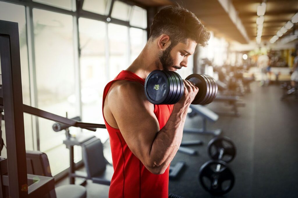How Steroids Are Adorning And Energizing The Way We Live?