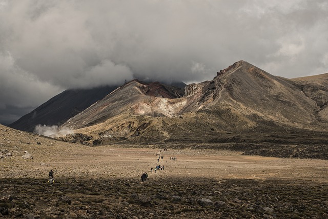 Affordable Travel Spots in New Zealand and Malaysia