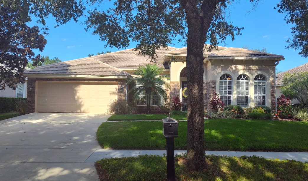 Steve Levin, Realtor – The King of Real Estate and Team