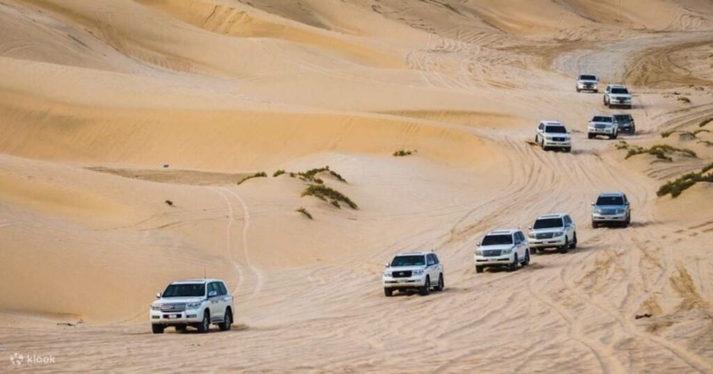 The Ultimate Desert Safari Experience in Qatar
