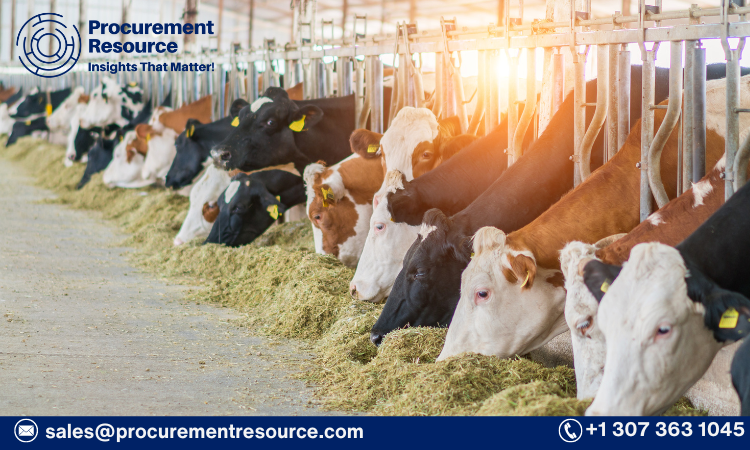 Cattle Price Analysis Report: Trends, Influencing Factors, and Future Projections