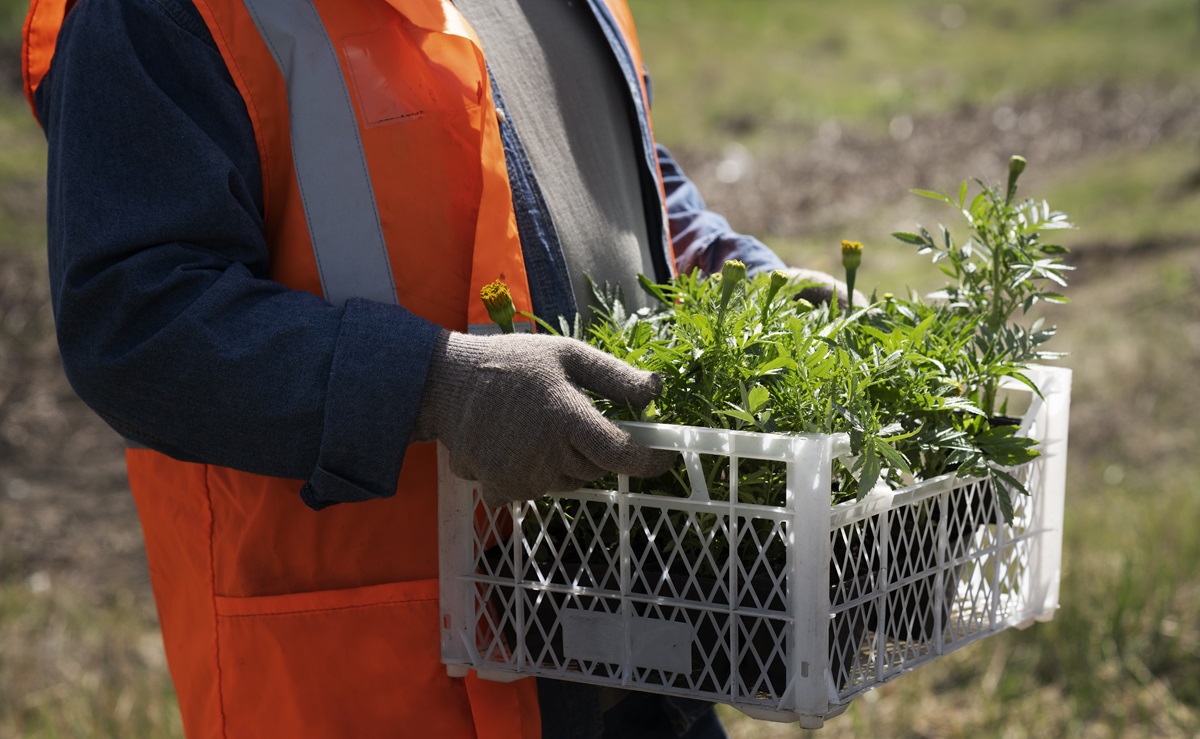 Steps to Start Your Career as an EHS Officer