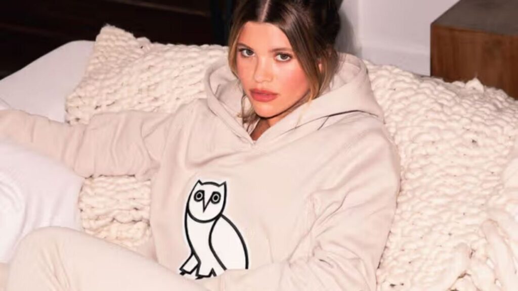 Why Do Celebrities Love Wearing the OVO Hoodie
