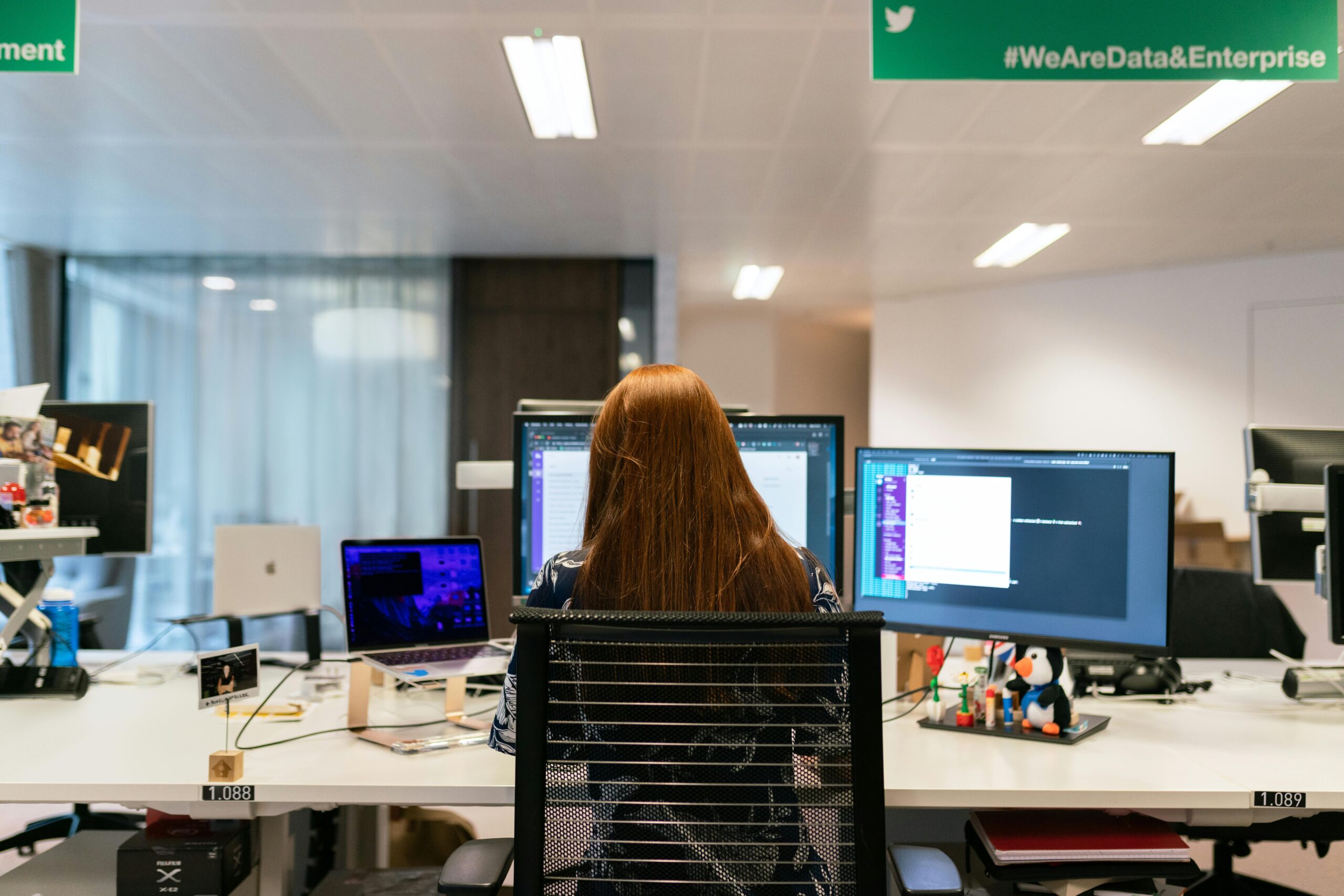 How to Hire a MERN Stack Developer Based on Their Skills