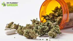 cannabis