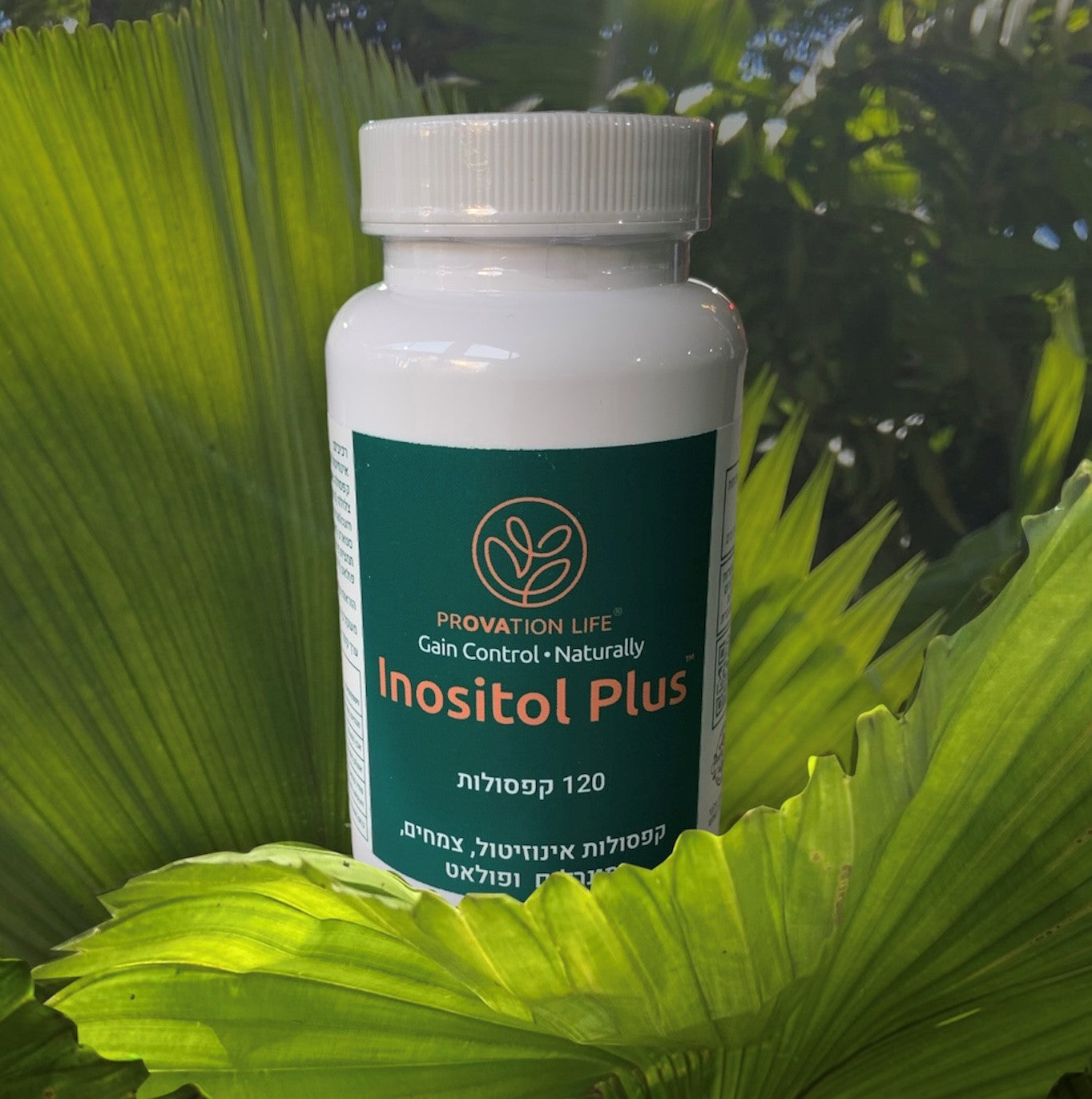 The Secret to PCOS Relief: Finding the Best Inositol Supplement for Fertility Support