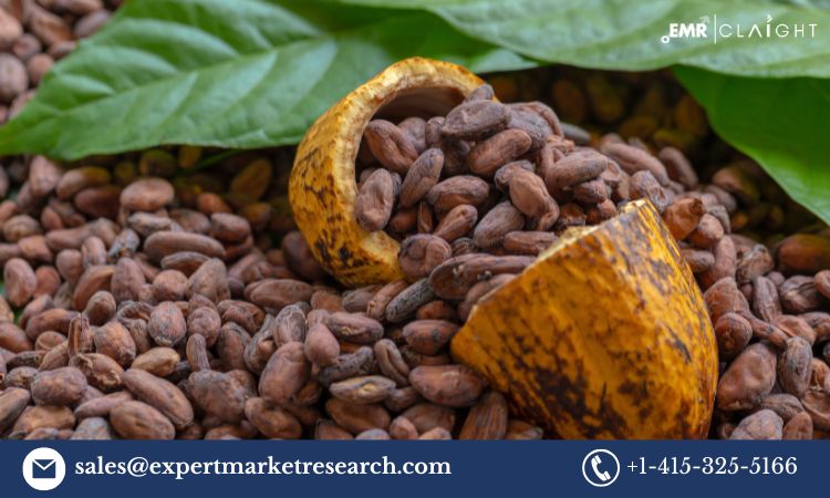 Cocoa Market:Growth, Trends, and Forecast 2025-2034