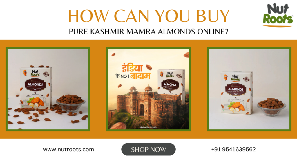 How Can You Buy Pure Kashmir Mamra Almonds Online?