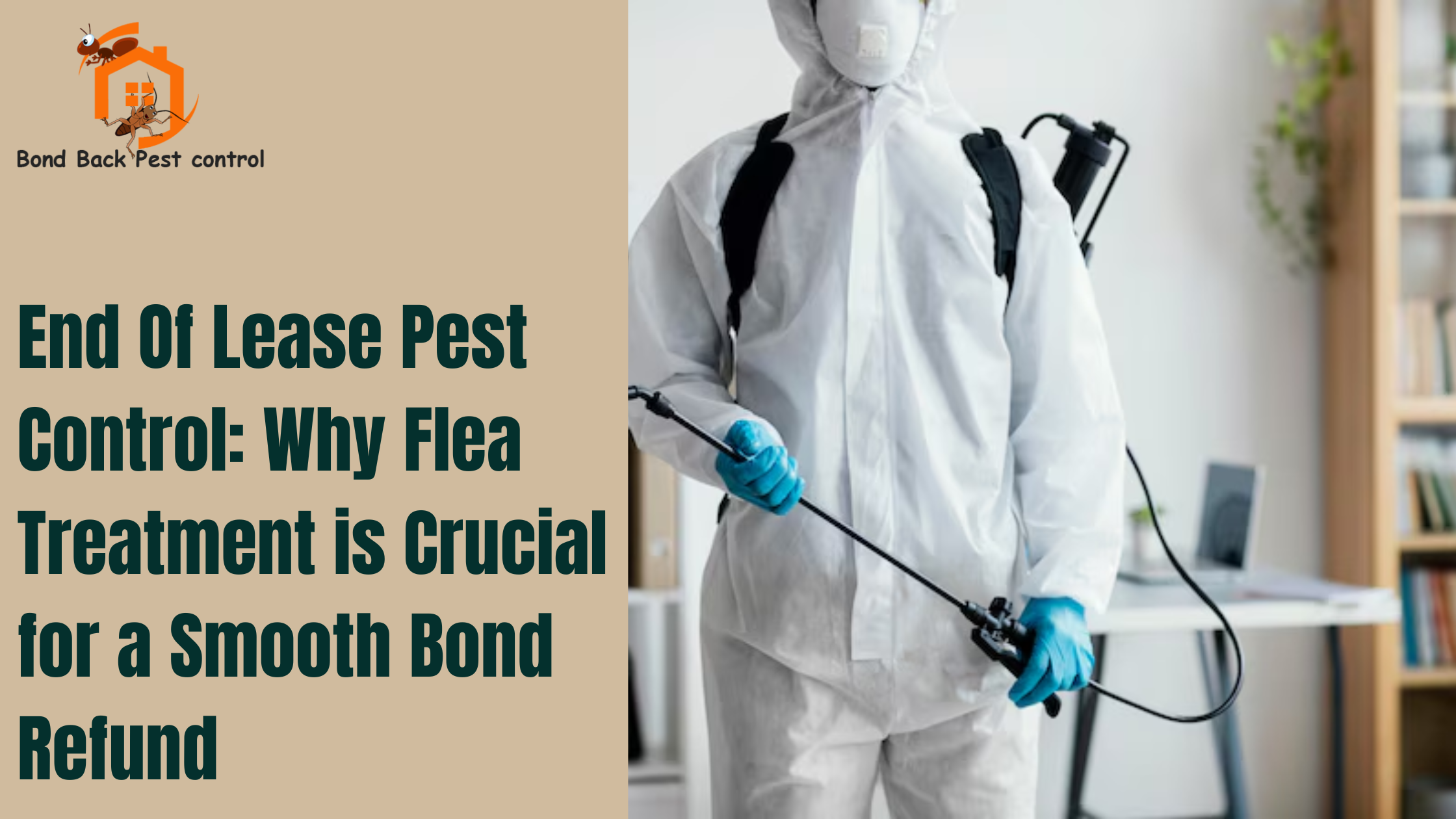 End Of Lease Pest Control: Why Flea Treatment is Crucial for a Smooth Bond Refund