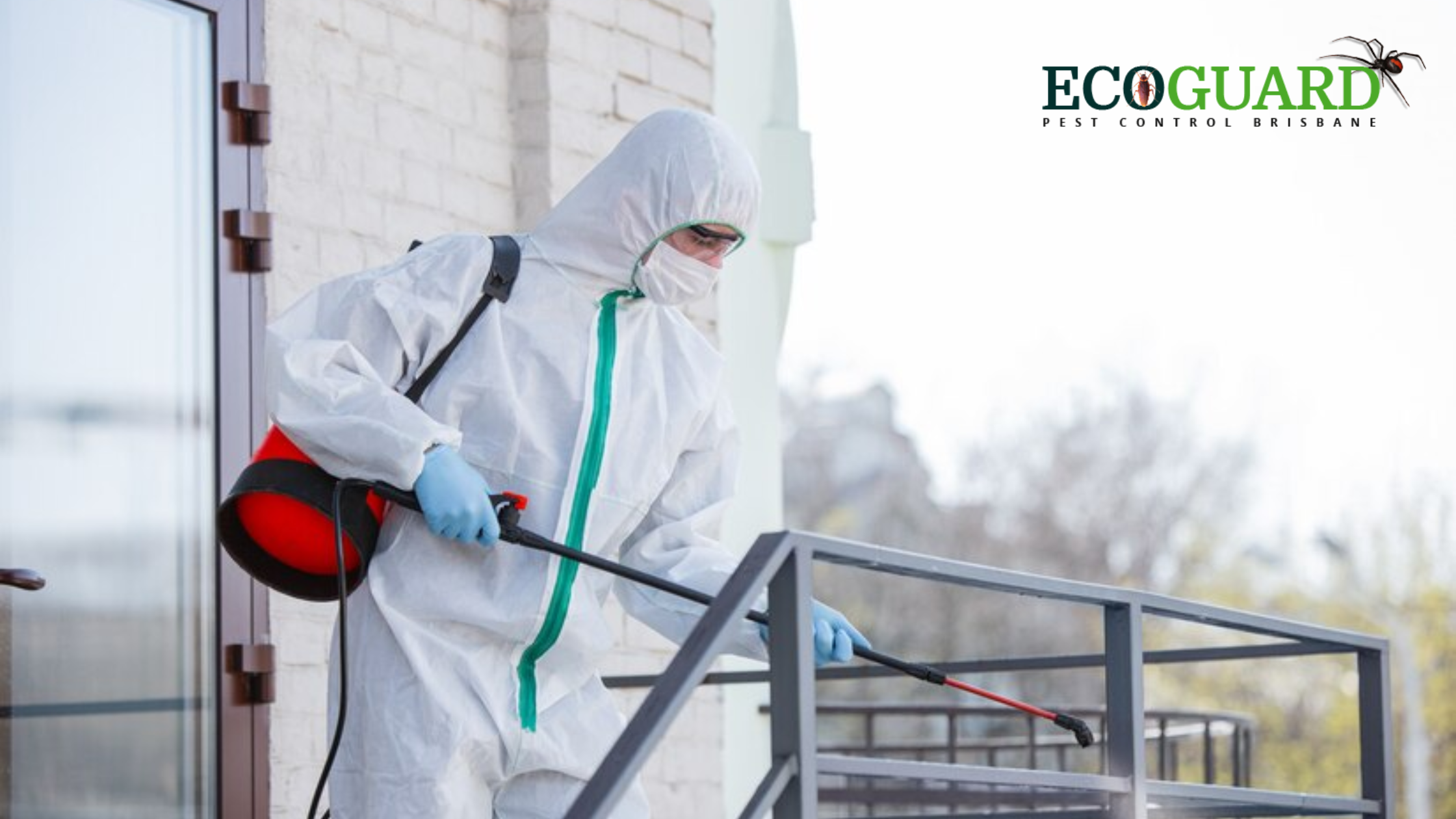Comprehensive Guide to Choosing the Best Pest Control Services Near You