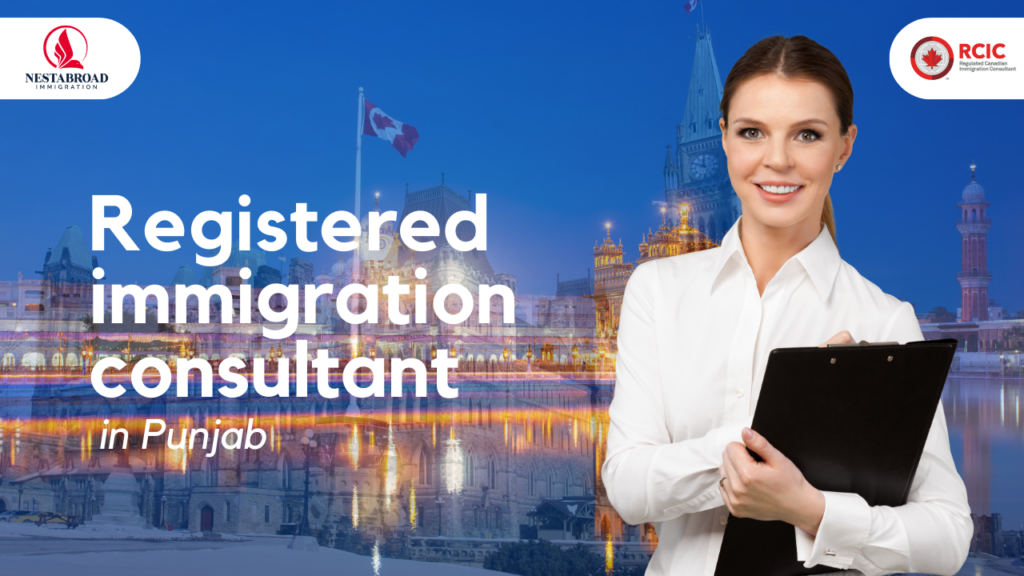 Why You Need a Registered Immigration Consultant in Punjab?