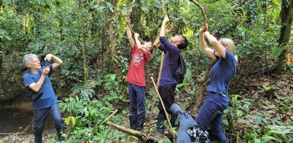 Top Destinations for Thrill-Seeking Jungle Explorers
