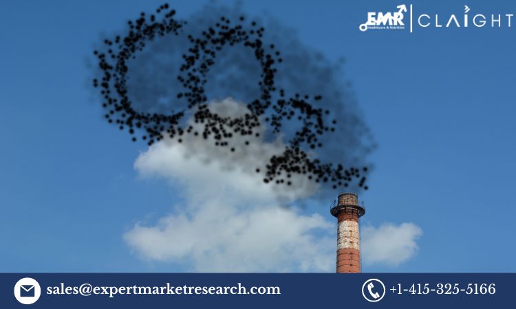 United Kingdom Carbon Dioxide Market: Trends,Growth and Forecast 2025-2034