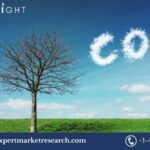 United Kingdom Carbon Dioxide Market:Trends, Growth and Forecast 2025-2034