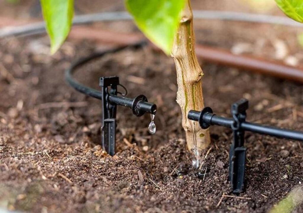 Why Is Irrigation Installation Melbourne Essential for a Healthy Landscape?
