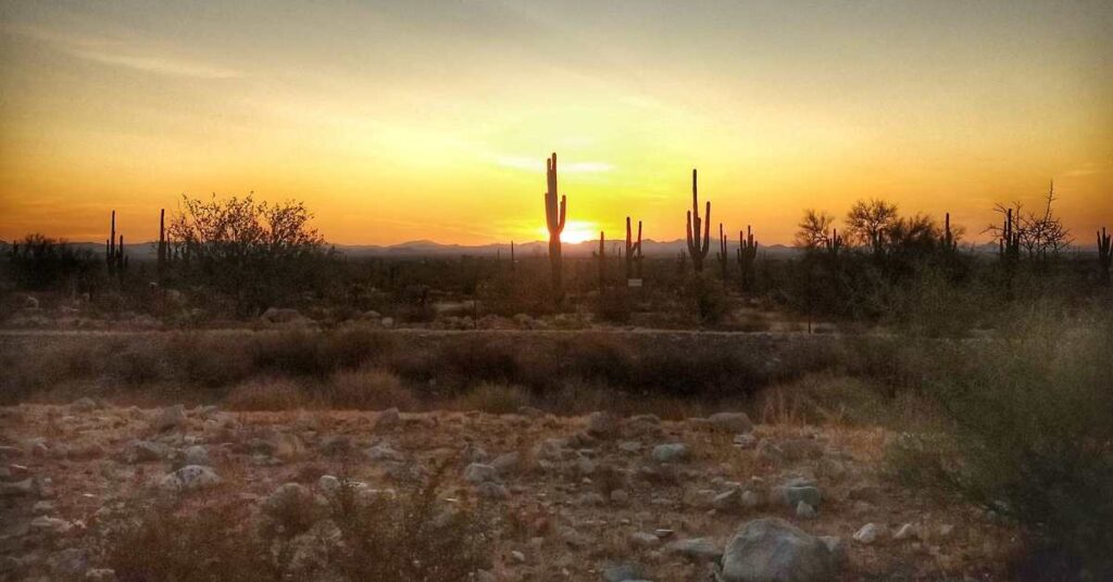 Why These 5 Desert Locations Are So Breathtaking