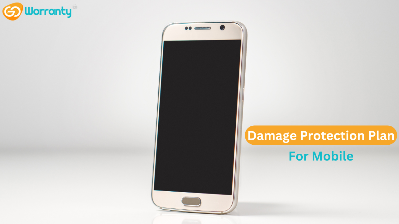 Why Every Millennial Needs a Damage Protection Plan?