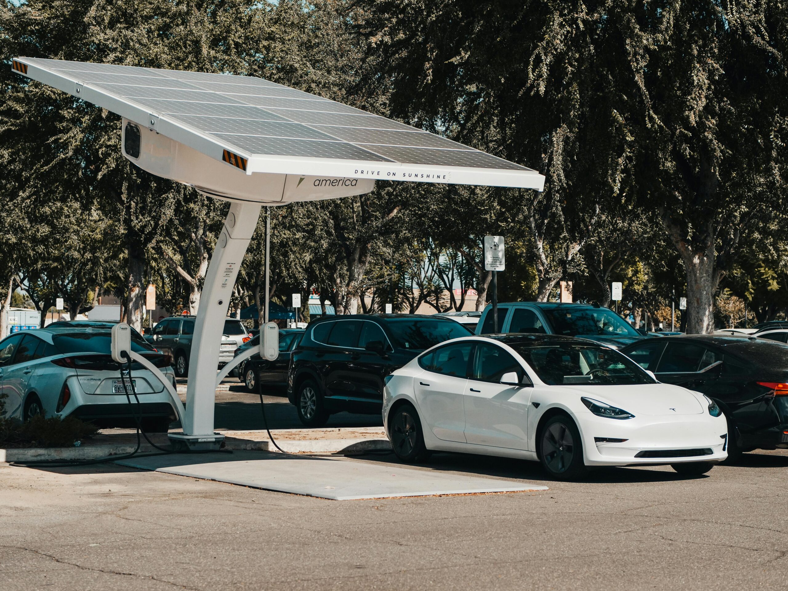Examining the Environmental Impact of Electric Cars