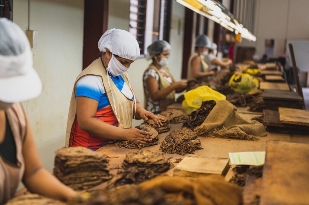 Women’s Clothing Manufacturer – BD Apparel Factory Co.