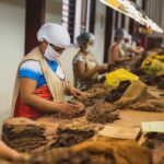Women’s Clothing Manufacturer – BD Apparel Factory Co.