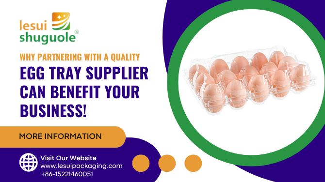 Why Partnering with a Quality Egg Tray Supplier Can Benefit Your Business!
