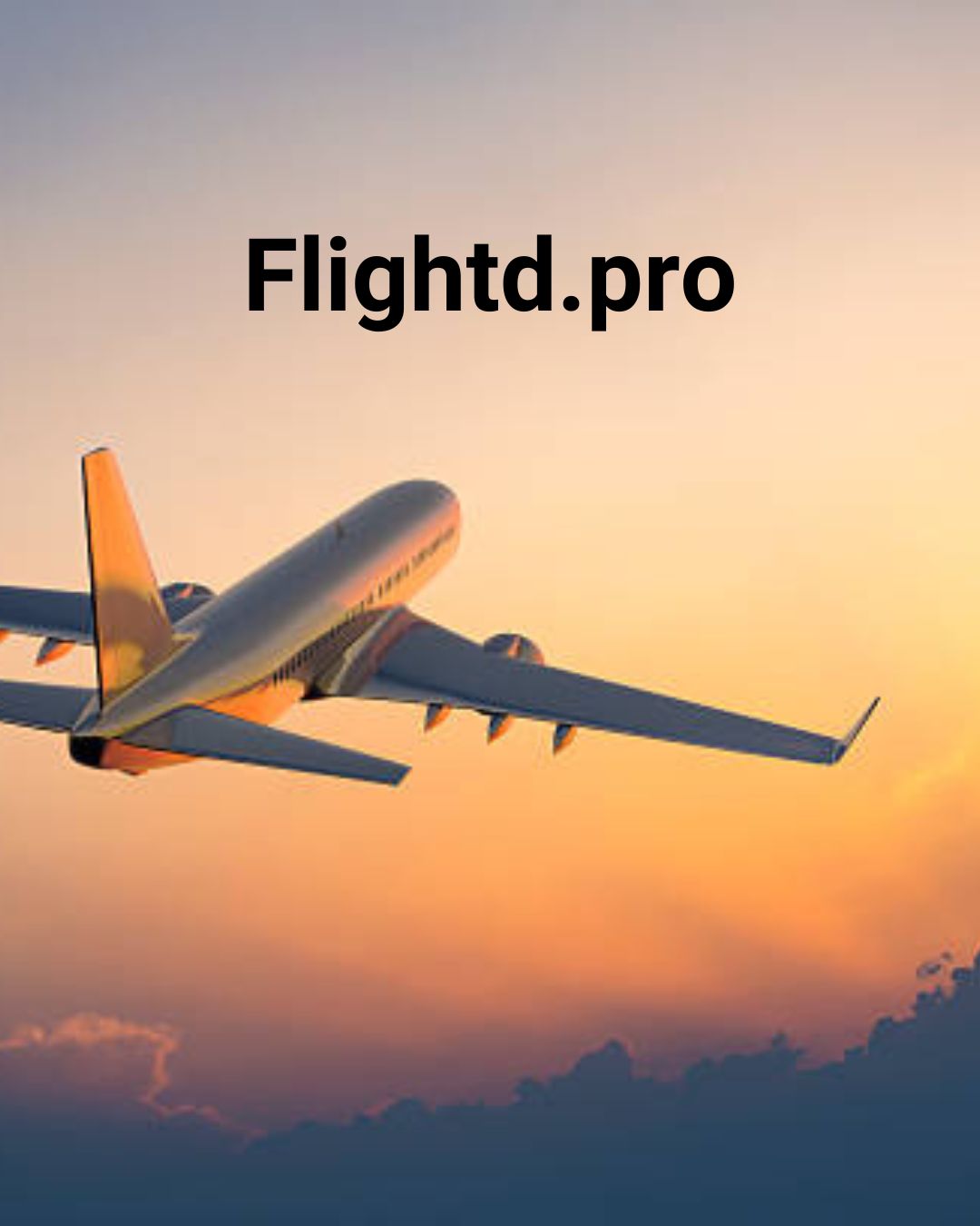 Flightd Is Your Ultimate Air Travel Booking Companion