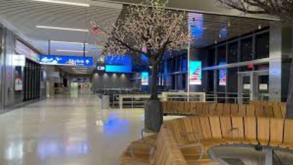 Frontier Airlines at DFW Terminal: A Seamless Travel Experience