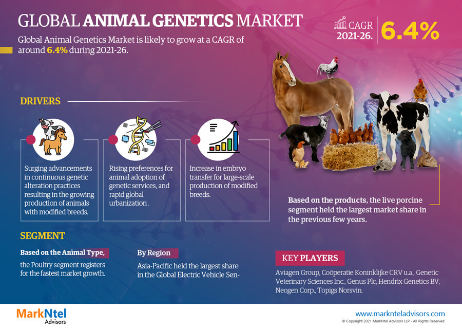 Animal Genetics Market Breakdown By Size, Share, Growth, Trends, and Industry Analysis| MarkNtel