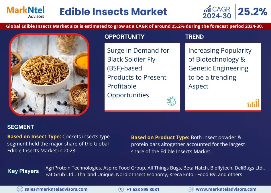 Edible Insects Market Breakdown By Size, Share, Growth, Trends, and Industry Analysis| MarkNtel