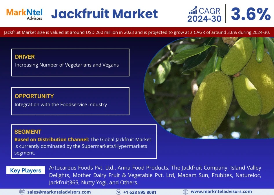 Jackfruit Market Breakdown By Size, Share, Growth, Trends, and Industry Analysis| MarkNtel