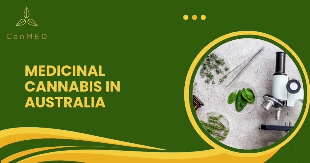 A Guide to Understand its Difference from Recreational Use