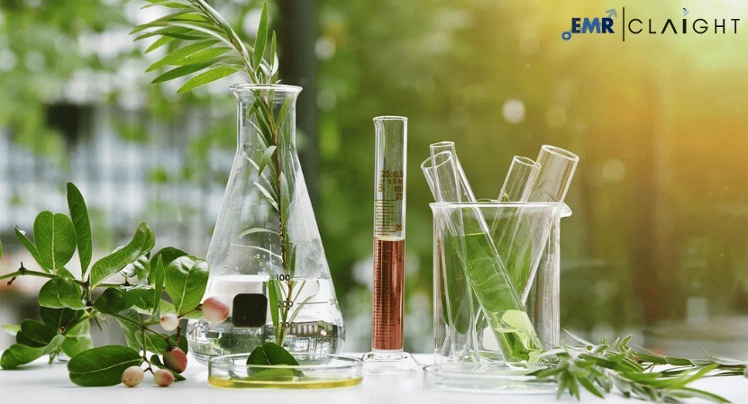 Natural Cosmetics Market Size, Share, Trends & Industry Growth Report and Forecast 2025-2034