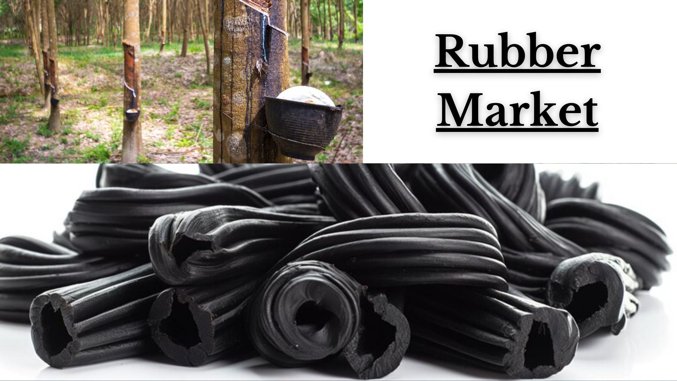 Rubber Market Share, Market Expansion & Industry Analysis 2032